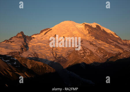 WA 15632-00 ... WASHINGTON - Sonnenaufgang am Mount Rainier und wenig Tahoma von Dege Peak in den Sonnenaufgang in der Gegend von Mount Rainier National Park. Stockfoto