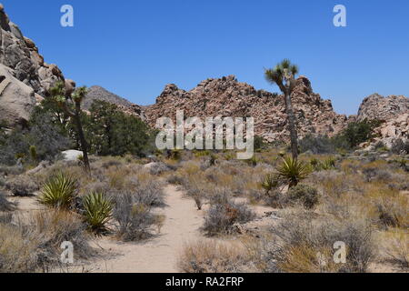 Monzogranite rock Piles, yuccapalmen und Joshua Bäume an einem heissen Sommertag in der Joshua Tree National Park, 4. Juli 2018 Stockfoto