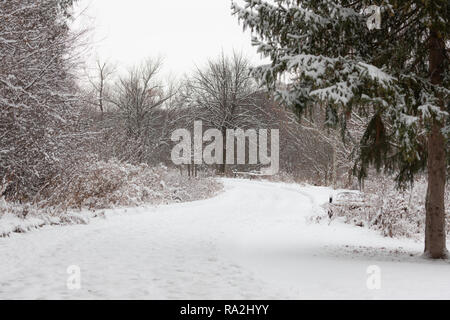 Horizontale Landschaft Farbe Bilder Springbank Park in London, Ontario, Kanada nach einer frischen Schneedecke winter schnee Der Park umfasst. Stockfoto