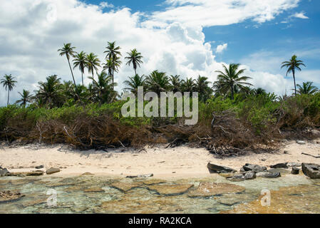 Karibik Strand mit Rock Steine, Sand und Palmen. Johnny Cay, die Insel San Andrés, Kolumbien. Okt 2018 Stockfoto