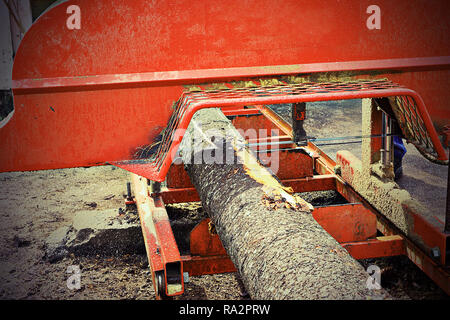 Detail der gefällten Stamm im Sägewerk Fichte, die Planken für Bau indusrty Stockfoto