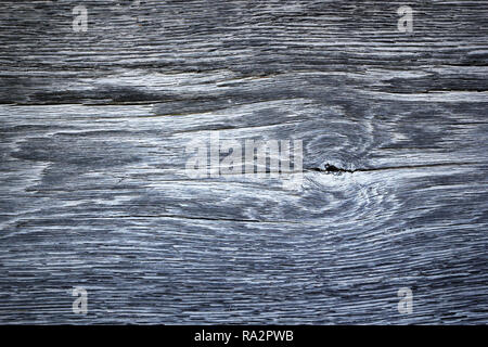 Elm Holz- Textur, alte verwitterte Plank detail Stockfoto