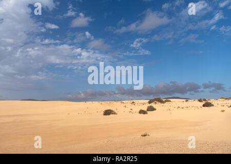 Sanddünen, Naturpark von Corralejo, Fuerteventura, Kanarische Inseln, Spanien Stockfoto