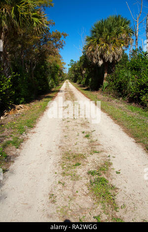 Owahee Trail, Grasbewachsenen Gewässer erhalten, West Palm Beach, Florida Stockfoto
