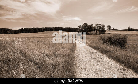 Piste und Gruppe von Laubbäumen in ländlichen Landschaft. Natürliche Szene. Off-road-Pfad unter Sommer Himmel. Gras, Wiese, Feld und Wald. Braun Tönen. Stockfoto