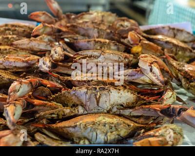 Reihe von gedämpft und erfahrene Chesapeake Bay blue carbs bereit zu essen Stockfoto