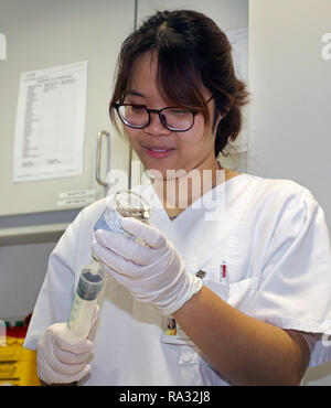 Rostock, Deutschland. 21 Dez, 2018. Anh tu tun, Vietnamesische Krankenschwester in Ausbildung, arbeitet in der Onkologie. 16 Frauen und 4 Männer aus Vietnam begann die Ausbildung in der Krankenpflege in der universitären Medizin an der Ende August 2018. Wie erwartet, der Umgang mit der Deutschen Sprache ist immer noch schwierig, aber von der technischen Seite gibt es keine Probleme. Quelle: Bernd Wüstneck/dpa/Alamy leben Nachrichten Stockfoto