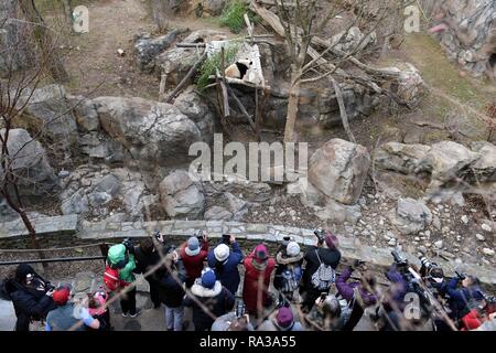 (190101) - Peking, 1. Jan. 2019 (Xinhua) - Datei Foto aufgenommen am 13.02.16, 2017 Shows Media Reporter und Touristen, die Panda Bao Bao auf Wiedersehen zu sagen, wie der Panda am Smithsonian National Zoo in Washington D.C., in den Vereinigten Staaten nach China zurück. Vor genau 40 Jahren, Peking und Washington offiziell diplomatische Beziehungen auf und beenden so fast drei Jahrzehnten der Isolation, Feindseligkeit und sogar Konfrontation zwischen zwei große Länder mit einer Bevölkerung von über 1 Milliarde, und Zurücksetzen der Lauf der Geschichte und die internationale Politik. Wie die 'Ping-Pong Stockfoto