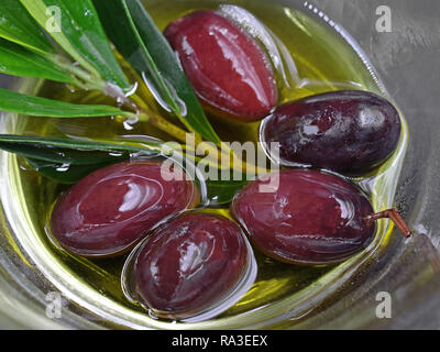 Nahaufnahme, Schüssel kalamon Oliven in Öl Stockfoto