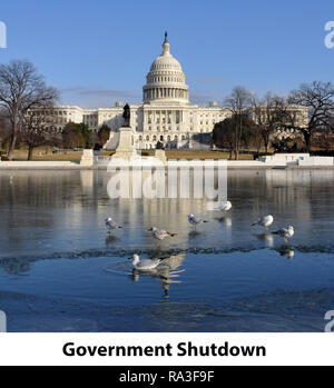 Gefrorene Regierung Herunterfahren, politische Satire, die die US Capitol mit gefrorenen Reflecting Pool und Möwen, Washington DC, Winter Januar 15, 2018 Stockfoto