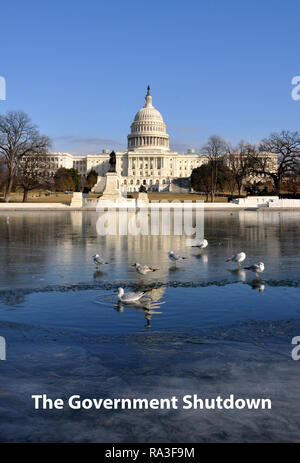 Gefrorene Government Shutdown politische Satire, die die US Capitol mit Iced Reflecting Pool und Möwen, Washington DC, Winter, 15. Januar 2018 Stockfoto