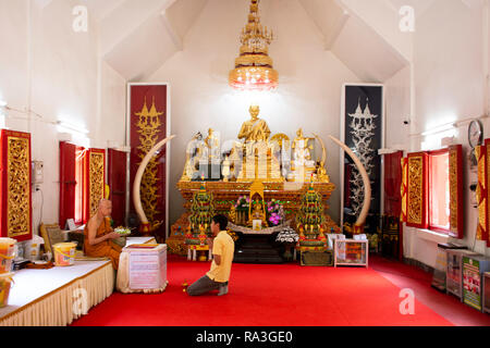 Asiatische thai Mann Respekt beten mit Mönchen und Buddha Statue im ubosot am Wat Phra That Doi Tung am 22. Februar 2018 in Chiang Rai, Thailand Stockfoto