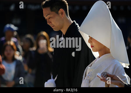 Shinto Hochzeit Prozession mit Braut das Tragen der traditionellen watabōshi Weiße Haube mit Bräutigam in der Meiji Jingu Shinto Schrein Stockfoto