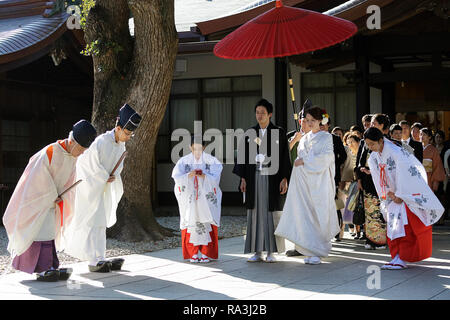 Shinto Hochzeit Prozession mit Braut das Tragen der traditionellen watabōshi Weiße Haube mit Bräutigam in der Meiji Jingu Shinto Schrein Stockfoto