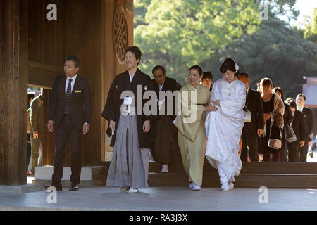 Shinto Hochzeit Prozession mit Braut das Tragen der traditionellen watabōshi Weiße Haube mit Bräutigam in der Meiji Jingu Shinto Schrein Stockfoto
