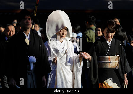 Shinto Hochzeit Prozession mit Braut das Tragen der traditionellen watabōshi Weiße Haube mit Bräutigam in der Meiji Jingu Shinto Schrein Stockfoto