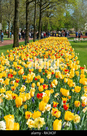 Spektakuläre Anzeige der Frühjahrsblüher auf der weltweit größten Glühlampe Blumengarten Keukenhof Gärten im April 2018, Lisse, Niederlande, Die Niederlande Stockfoto