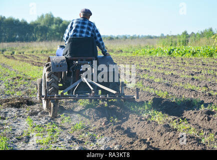 Landwirt Traktor im Feld. Bauer auf alten handgemachten Traktor Pflügen in das Feld ein. Stockfoto
