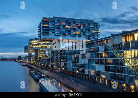 Kran Häuser, Rheinauer Hafen, Köln, Nordrhein-Westfalen, Deutschland Stockfoto