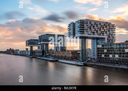 Kran Häuser, Dämmerung Dämmerung, Rheinauer Hafen, Köln, Nordrhein-Westfalen, Deutschland Stockfoto