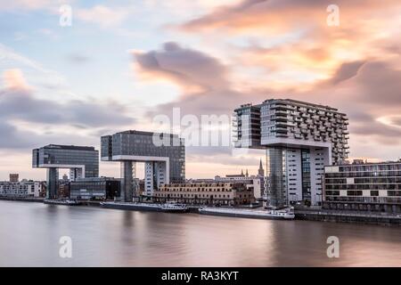 Kran Häuser, Dämmerung Dämmerung, Rheinauer Hafen, Köln, Nordrhein-Westfalen, Deutschland Stockfoto