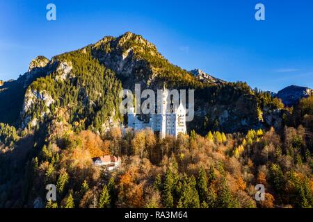 Drone geschossen, das Schloss Neuschwanstein im Herbst, Schwangau, Ostallgäu, Allgäu, Schwaben, Oberbayern, Deutschland Stockfoto