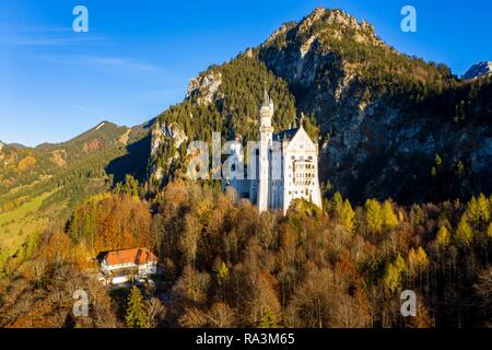 Drone geschossen, das Schloss Neuschwanstein im Herbst, Schwangau, Ostallgäu, Allgäu, Schwaben, Oberbayern, Deutschland Stockfoto