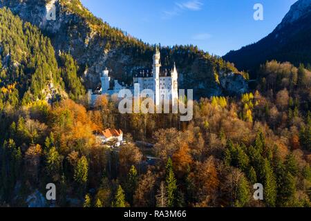 Drone geschossen, das Schloss Neuschwanstein im Herbst, Schwangau, Ostallgäu, Allgäu, Schwaben, Oberbayern, Deutschland Stockfoto