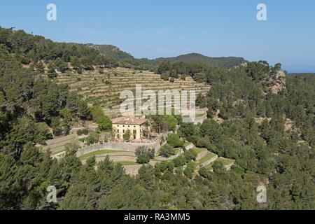 Künstliche Terrassen in der Nähe von Banyalbufar, Serra de Tramuntana, auf Mallorca, Spanien Stockfoto