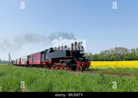 Dampfeisenbahn Molli, Klein Bollhagen, Mecklenburg-Vorpommern, Deutschland Stockfoto