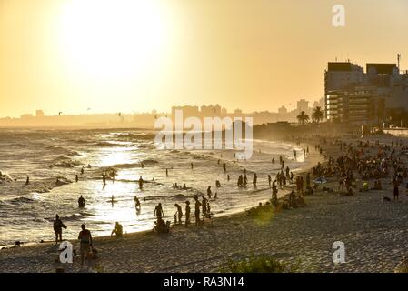 Viele Menschen Baden am Strand bei Sonnenuntergang, Strand Rambla, Montevideo, Uruguay Stockfoto