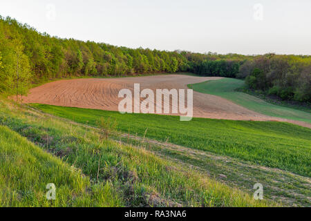 Gepflügten Feldes im Frühjahr Wald, Ukrainische Landschaft Stockfoto