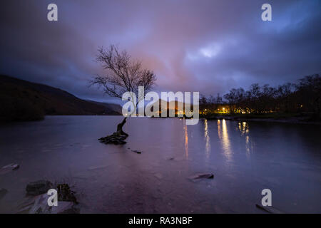 Einsamer Baum in der Nacht am Llyn Padarn, Snowdonia, North Wales Stockfoto