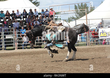 Bronco Reiten auf einen Ansturm. Stockfoto