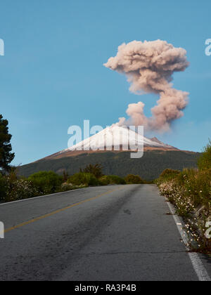 Fumarolen auf Vulkan Popocatepetl von der Straße Ruta de Evacuacion am Morgen gesehen Stockfoto