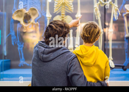 Peking, China, 16. Oktober 2018: Vater und Sohn sind gerade die Skelette von alten und modernen Menschen. Die Evolution des Menschen ist der evolutionäre Prozess, der für die Entstehung des anatomisch modernen Menschen led Stockfoto