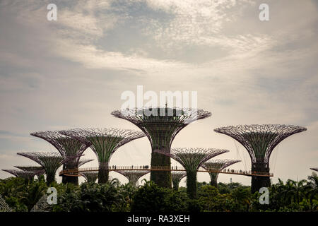 Singapur - Dezember 2018: Luftaufnahme des botanischen Garten, Gärten an der Bucht, in Singapur. Stockfoto