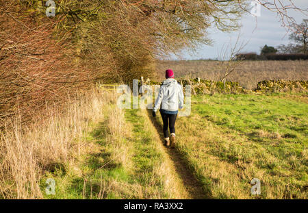 Frau mit Hut gehen in der englischen Landschaft in der Nähe von Blockley in den englischen Cotswolds im Winter Stockfoto