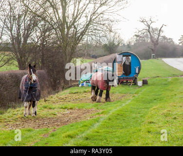 Reisende leben in einer traditionellen Art von Pferden gezogene Roma Gypsy Caravan gestoppt auf das Gras kurz an der Seite der Straße für ihre Pferde weiden zu lassen Stockfoto