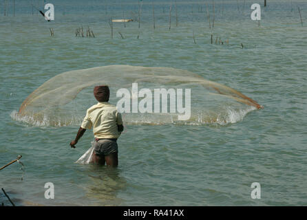 Fischer wirft seine Fischernetz in die tiefste Provinz, die Fische am Pulicat, Andhra Pradesh, Indien zu fangen Stockfoto