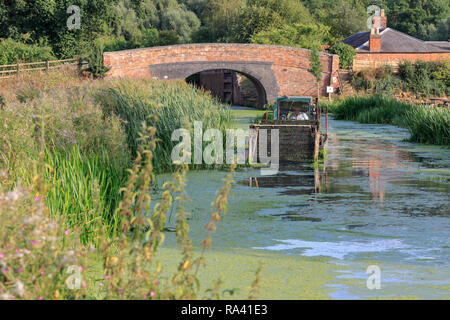 Kanal und Fluss vertrauen Schwimmbagger Clearing der Grantham Canal an woolsthorpe von Belvoir, Lincolnshire, England, Großbritannien Stockfoto