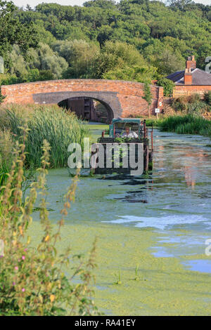 Kanal und Fluss vertrauen Schwimmbagger Clearing der Grantham Canal an woolsthorpe von Belvoir, Lincolnshire, England, Großbritannien Stockfoto