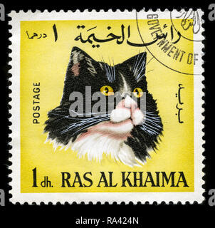 Briefmarke aus Ras Al Khaimah in den Vereinigten Arabischen Emiraten in die Katze Rassen 1967 ausgestellt Stockfoto