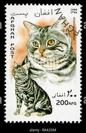 Briefmarke aus Afghanistan in die hausangestellte Katzen in der Serie 1996 Stockfoto