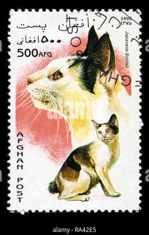 Briefmarke aus Afghanistan in die hausangestellte Katzen in der Serie 1996 Stockfoto