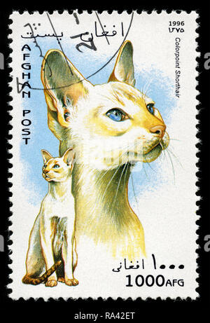 Briefmarke aus Afghanistan in die hausangestellte Katzen in der Serie 1996 Stockfoto