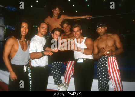 LAS VEGAS, NV - Juli 12: Künstler der 12. jährlichen Video Software Dealers Association (VSDA) Übereinkommen und die Expo besuchen am 12. Juli 1993 im Las Vegas Convention Center in Las Vegas, Nevada. Foto von Barry King/Alamy Stock Foto Stockfoto