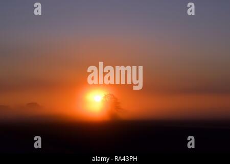 Sonnenaufgang über ein Feld Stockfoto