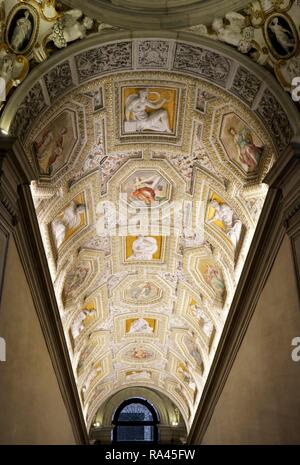 Gewölbte Decke, Museo Correr, Städtisches Museum, Piazza San Marco, Piazza San Marco, Venedig, Venetien, Italien Stockfoto