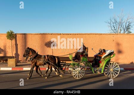 Pferdewagen, Caleche, mit Touristen vor rot-orange Stadtmauer von Marrakesch, Marokko Stockfoto